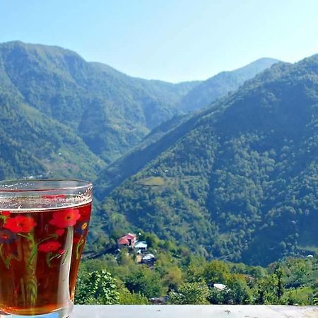 Guest House Noe Kveda Chkhutuneti Ngoại thất bức ảnh