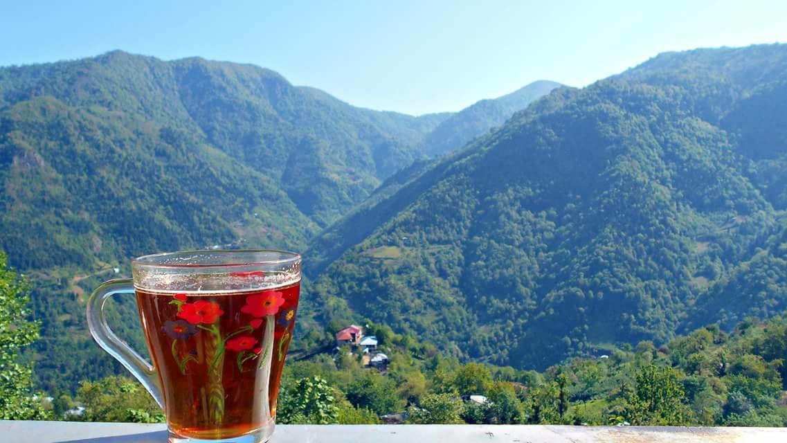 Guest House Noe Kveda Chkhutuneti Ngoại thất bức ảnh